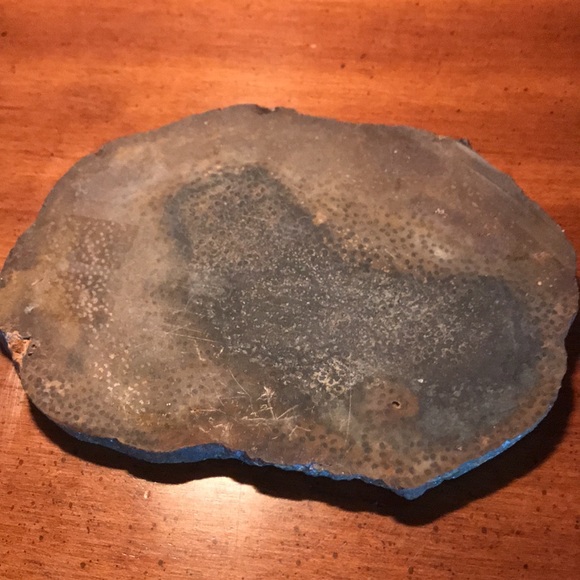 Petrified palm wood - Picture 5 of 9